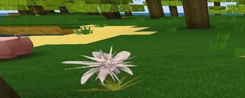 迷你世界龙舌兰怎么刷