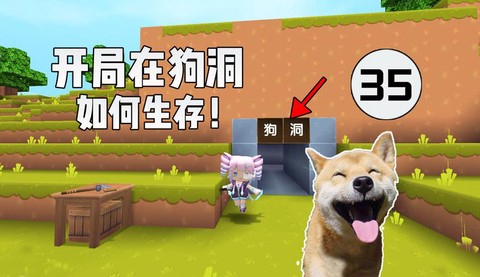 迷你世界龙舌兰怎么刷[图2]