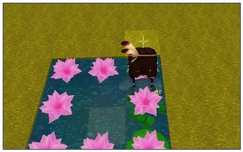 迷你世界的荷叶怎么放