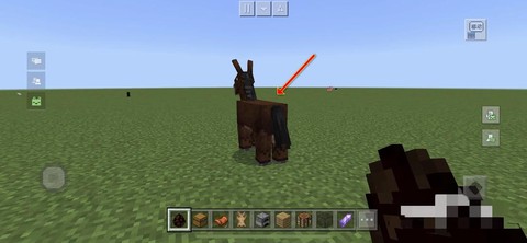 我的世界骡子怎么背箱子[图2]
