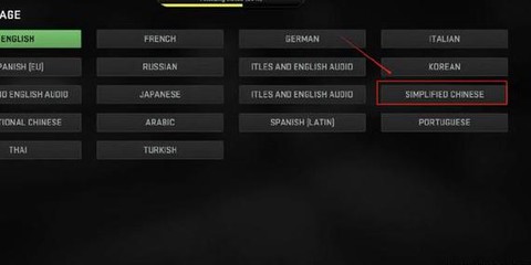使命召唤怎么改语言[图1]