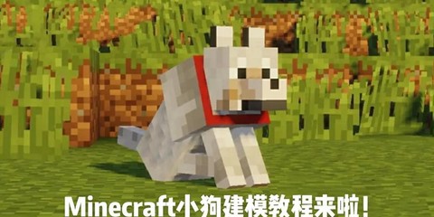 我的世界怎么做变色狗[图2]