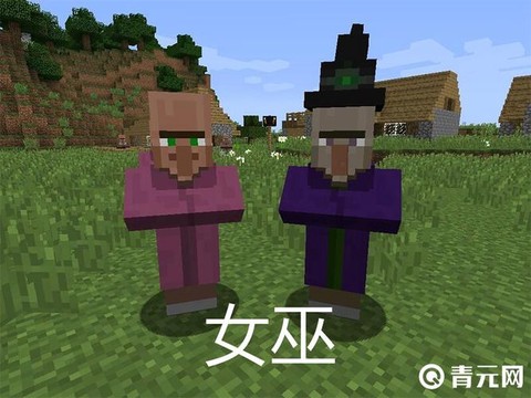 我的世界女巫怎么来的[图1]